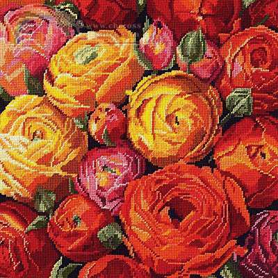 Janlinn 023-0555 Ranunculus.jpg
