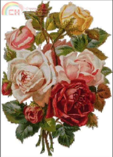 Bouquet of Roses fc.JPG