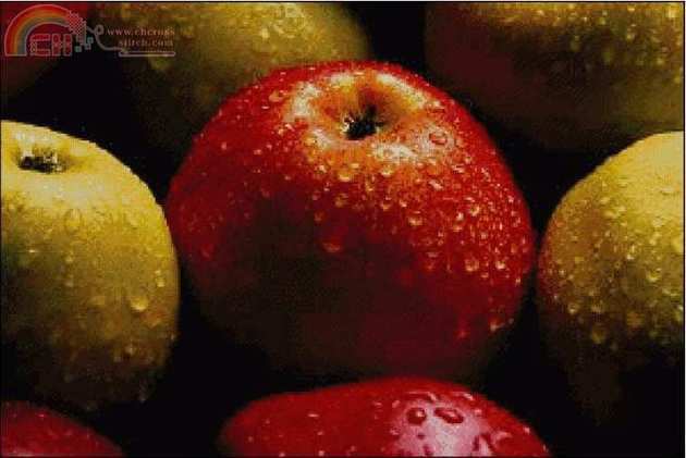 GK506 Apples.JPG