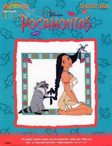Pocahantas Beautiful Braids.jpg