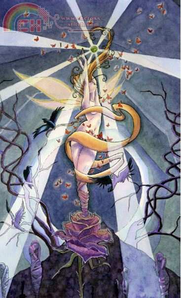 HAE SB842 Death Tarot.JPG