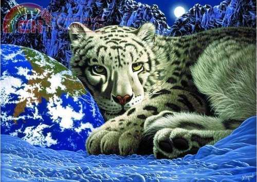 The Warmth of Home.jpg