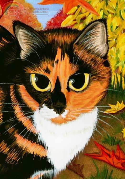 QS Calico Cat.jpg