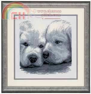 VERVACO PUPPIES.jpg
