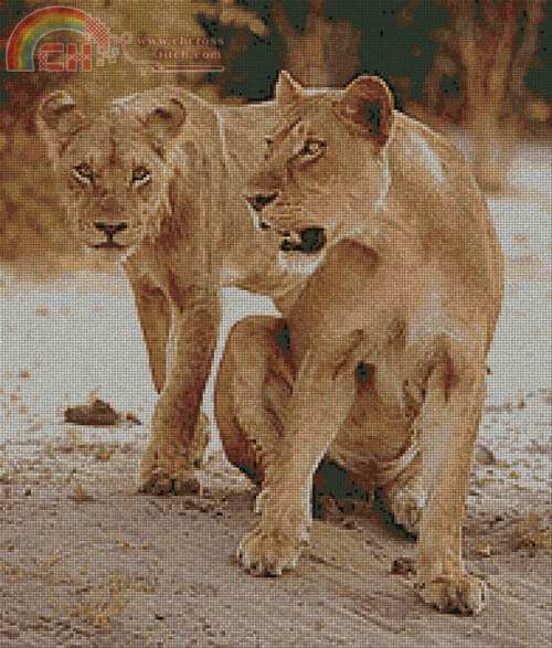 2 LIONESS PIC.JPG