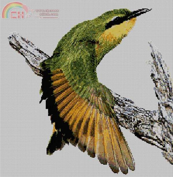 bird fly.jpg