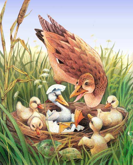 The Ugly Duckling.jpg