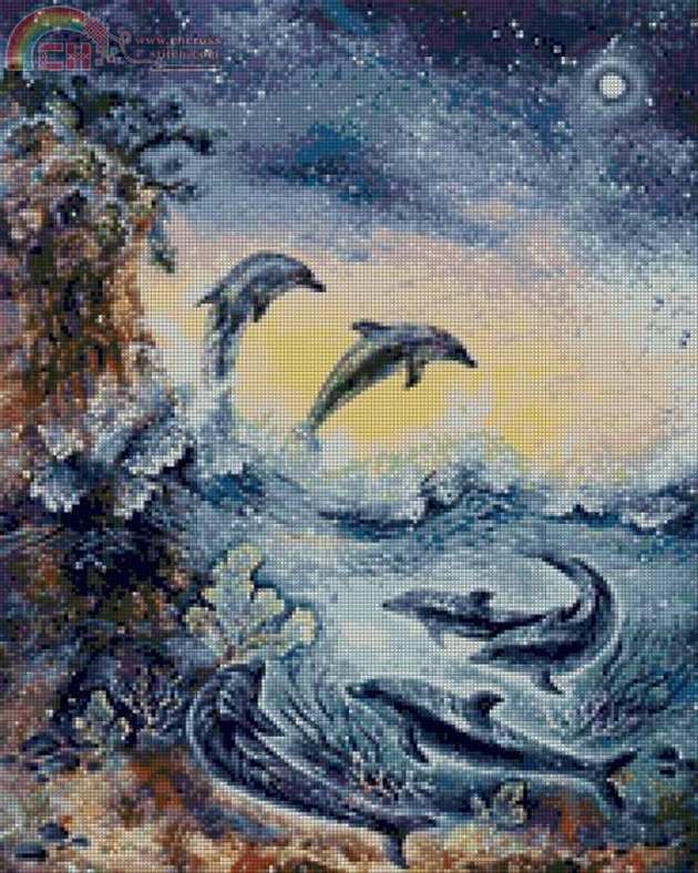 dolphin family.jpg
