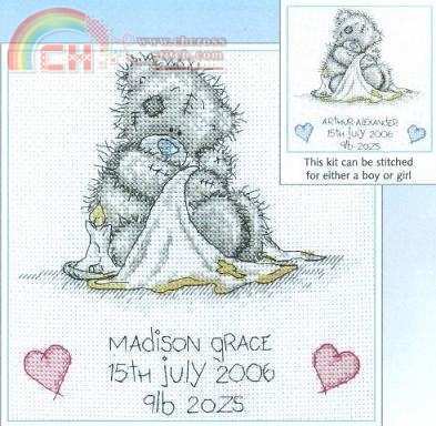 TT110 Birth Sampler.jpg
