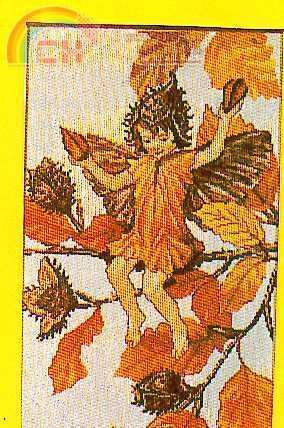 33386 Flower Faerie Pix.jpg