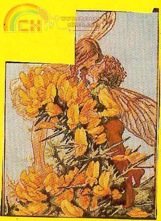 33387 Flower Faerie Pix.jpg