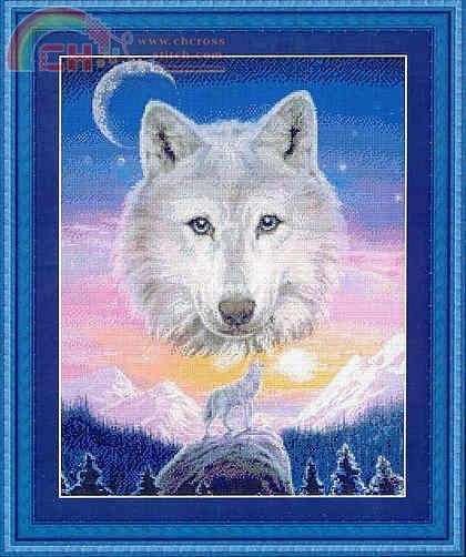 Mountain Wolf
