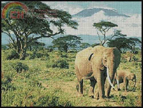 ELEPHANTS.JPG