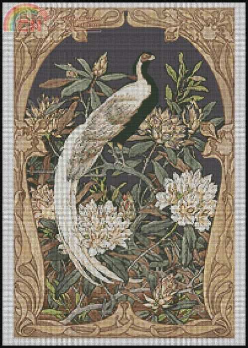 EXOTICBIRD.JPG