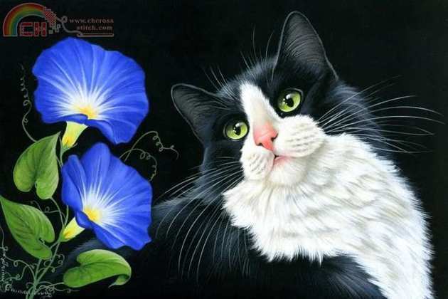 Irina Garmashova e - Morning Glory.jpg