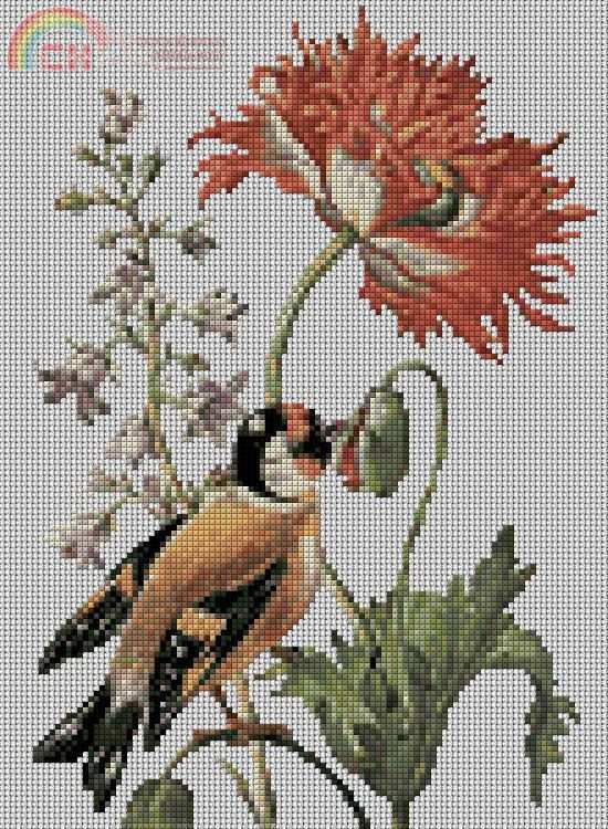flower bird2.jpg