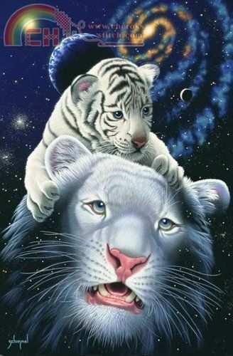 HAE-SS-412-White-Tiger-Magic.JPG