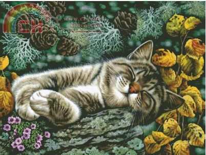 HAE IAG 1241  Wild Corner.JPG