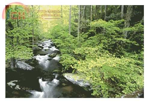 Artecy Forest Stream.JPG