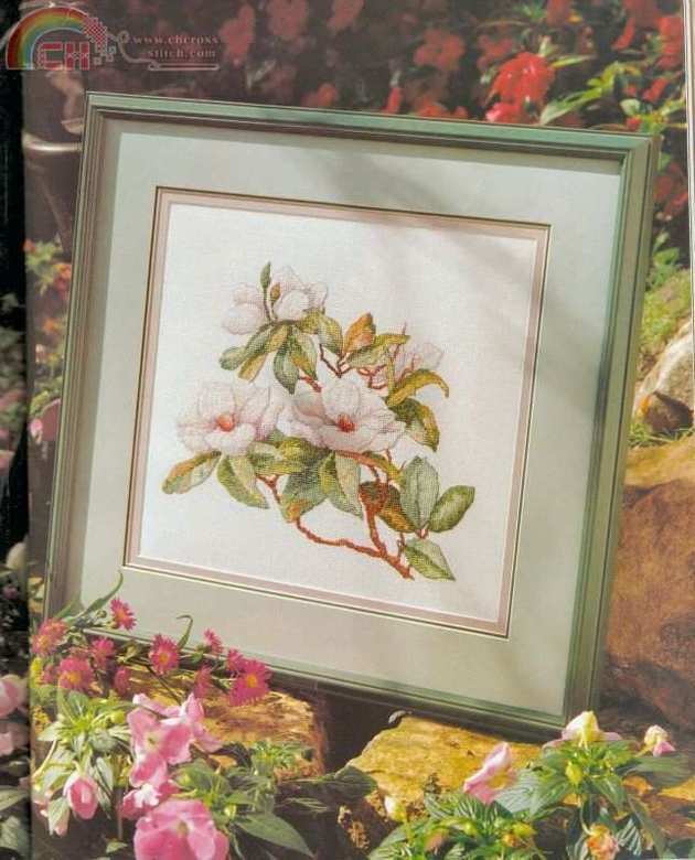 magnolias_1.jpg