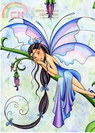 HAE NTQS2908 QS Tahluana, Flower-bud fairy.JPG