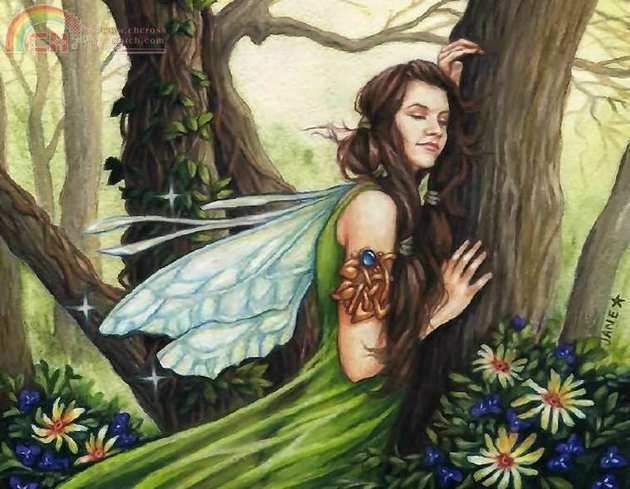 Weils - Listening To The Trees.jpg