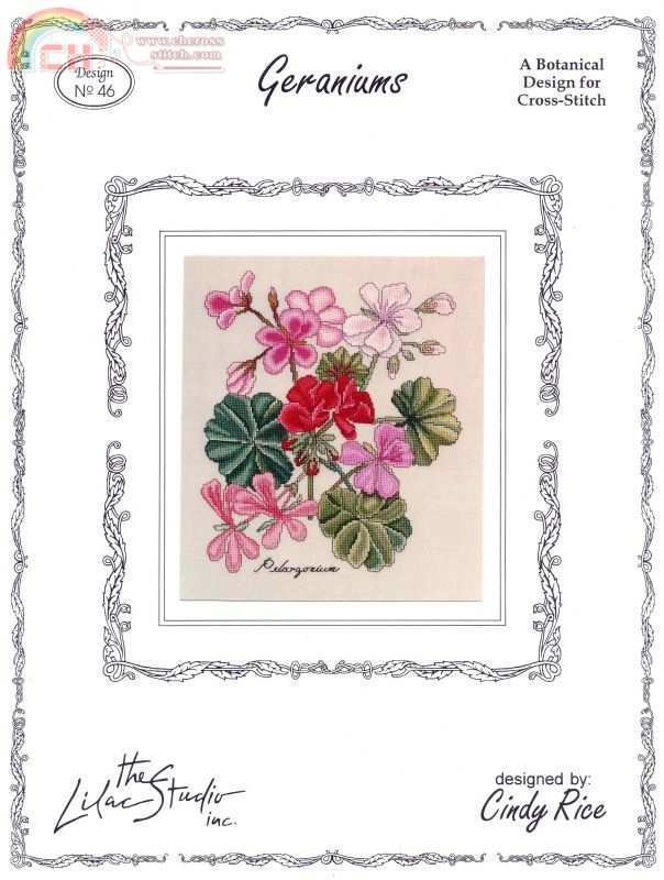 The lilac studio geraniums.jpg