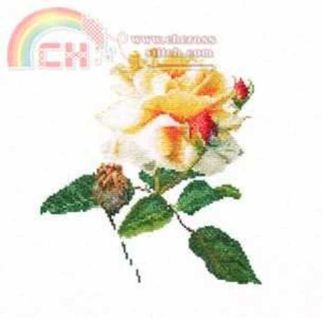 TG_416_Yellow_Rose.jpg