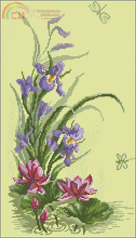 9200charvna_mit_232iris.jpg