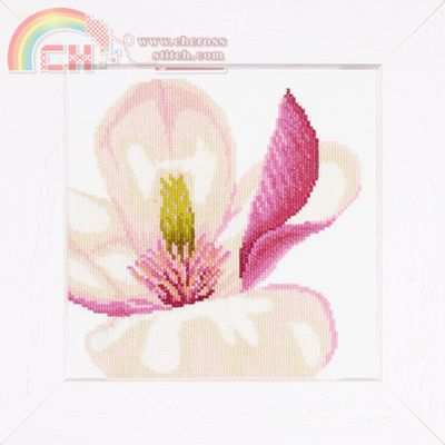 Magnolia Flower.jpg