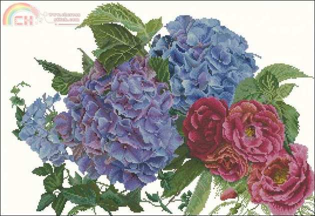 Hortensias and Rosen.jpg
