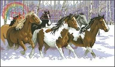 Dimensions 00310 - WINTER RUN.jpg