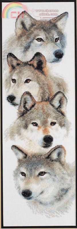 The_Pack.jpg