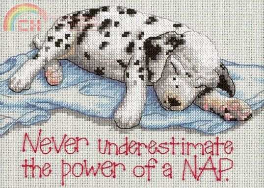 Dimensions 16750 - Power Nap.jpg