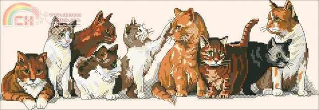 Dimensions 03762 Nine Lives.jpg