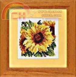 34351 Sunflower.jpg