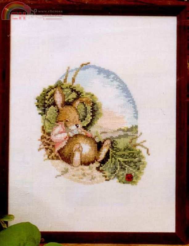 76636 Cabbage Bunny.jpg