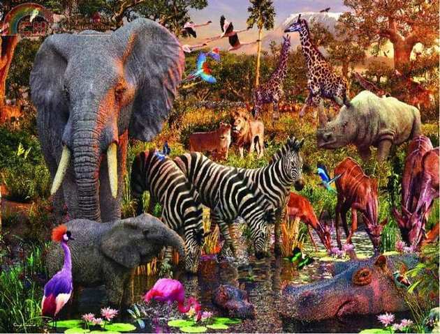 Waterhole Master.jpg