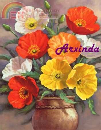 AMAPOLAS.jpg