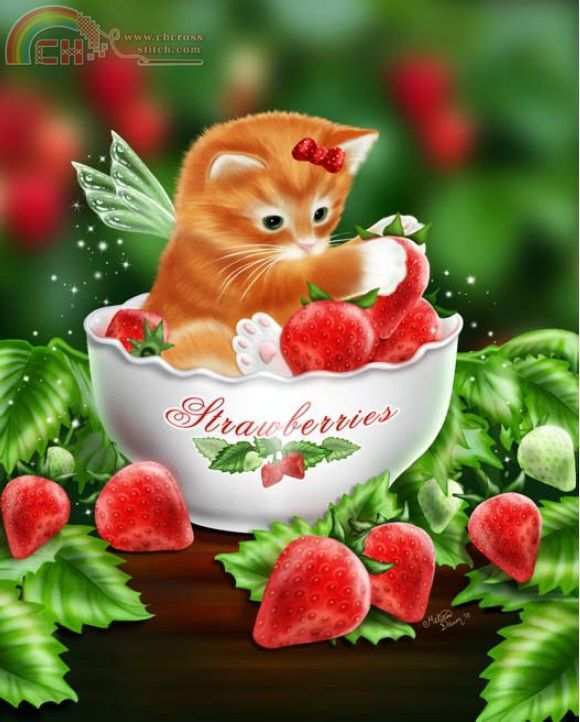 Strawberry Kitten.jpg
