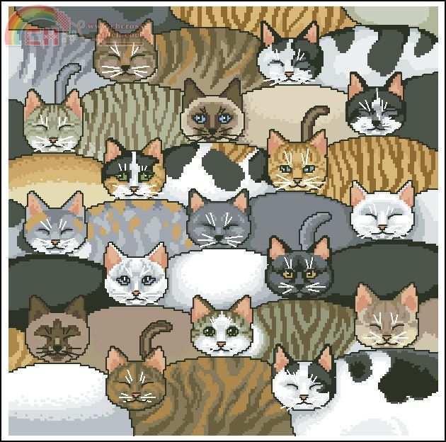 JCA04753 Kitty Kitty Pillow - PM.jpg