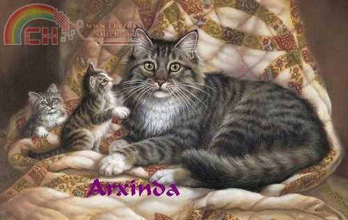 GATITOS.jpg