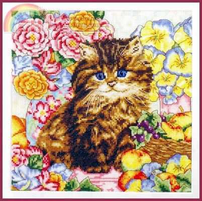 Fluffy Kitten(1).jpg