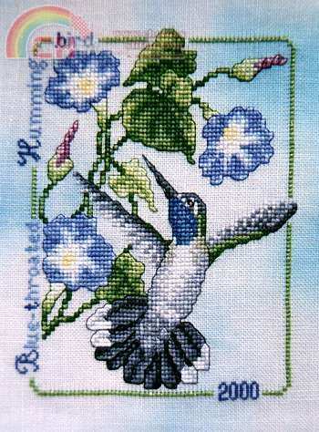 2000 Blue-Throated Hummingbird (1).jpg
