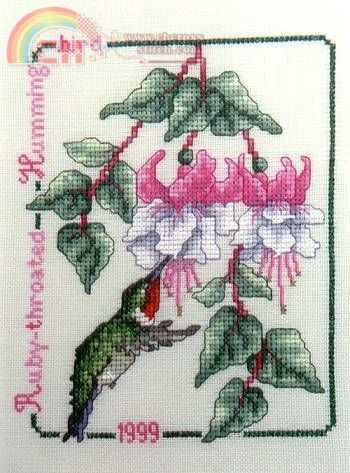 Rube-Throated Hummingbird (1).jpg