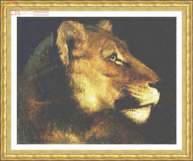 AN229 The Lioness  pic.jpg