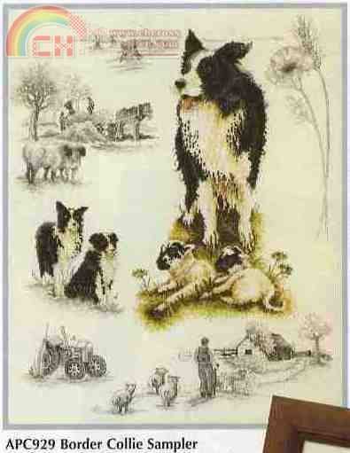 Border Collie sampler (1).jpg