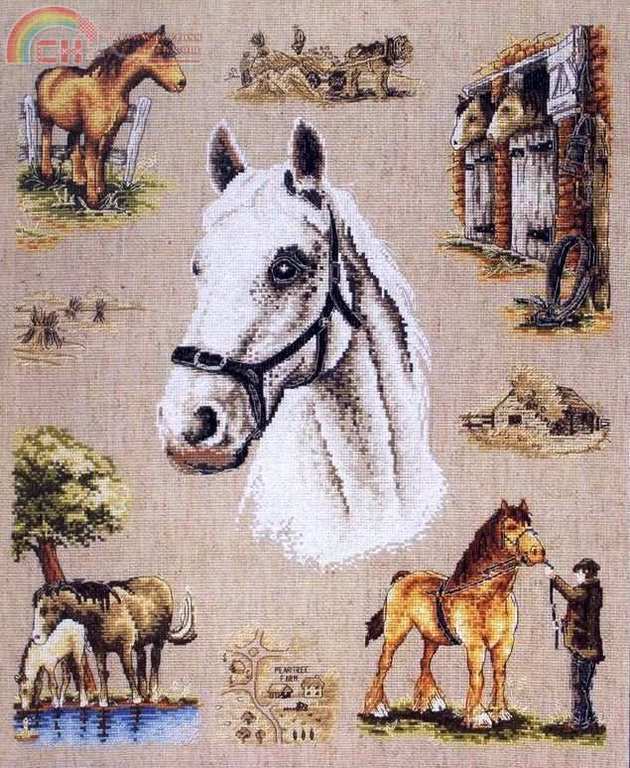 Country Horse (1).jpg