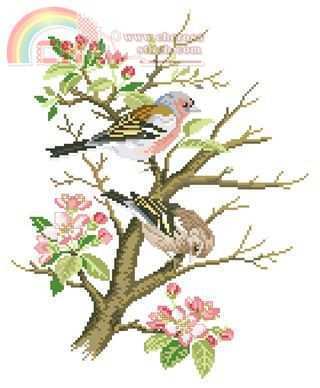 EVA Rosenstand - 12697.jpg