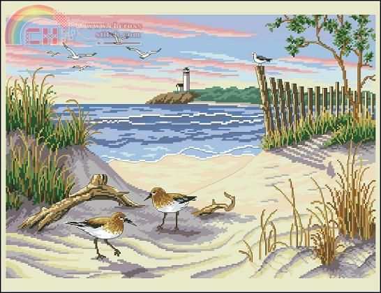 Dimensions 13634 Beauty of the beach.jpg